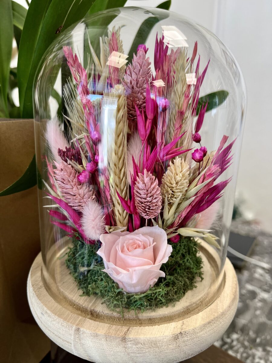 cloche fleurs séchées+rose éternelle