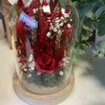 cloche fleurs séchées
