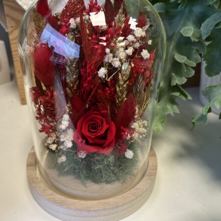 cloche fleurs séchées